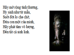 Hình 20