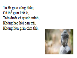 Hình 21