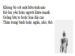 Hình 5