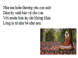 Hình 8