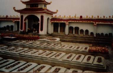 Click to view next photo