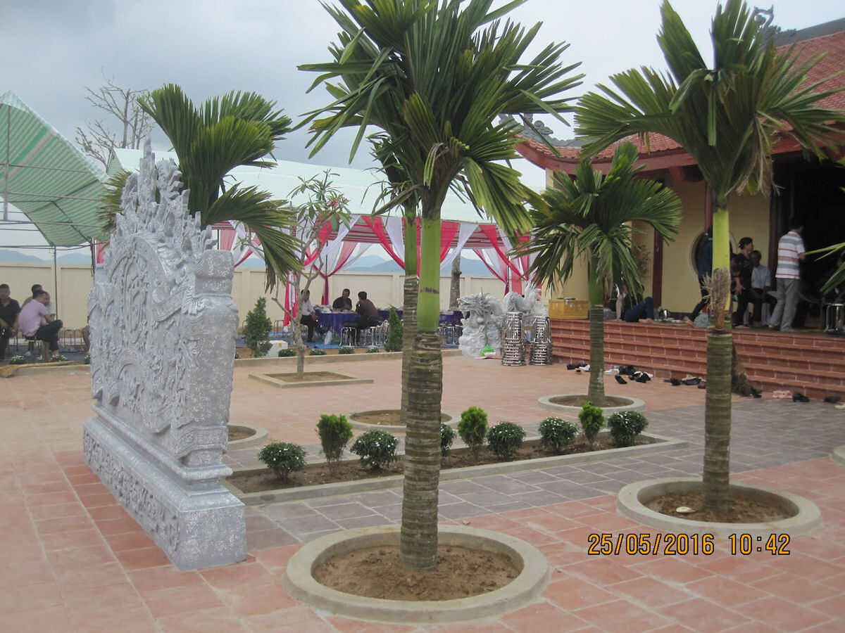 Click to view next photo